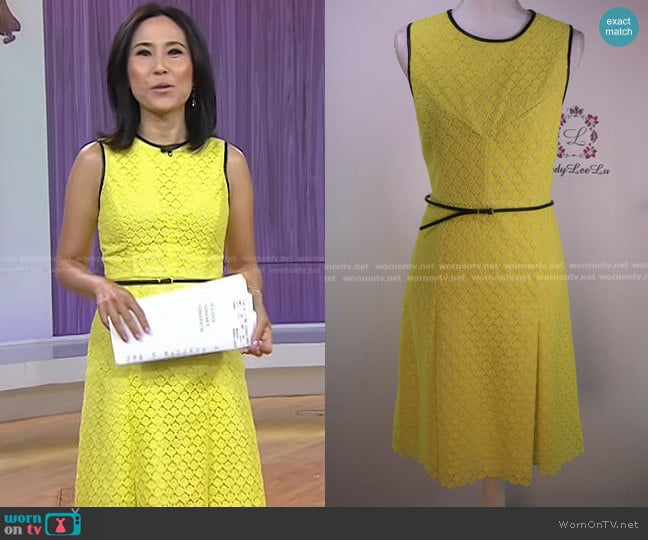 Calvin Klein Lace Sheath Dress worn by Vicky Nguyen on Today