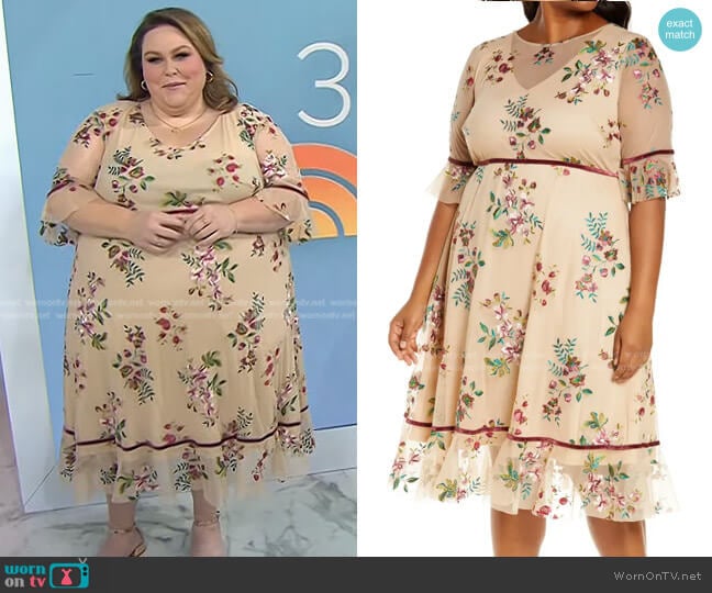 Kiyonna Wildflower Embroidered Dress worn by Chrissy Metz on Today