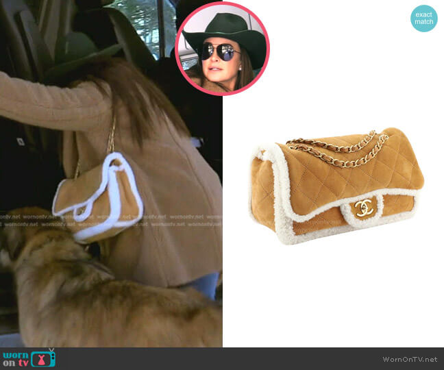 Chanel Coco Neige Flap Bag worn by Kyle Richards on The Real Housewives of Beverly Hills