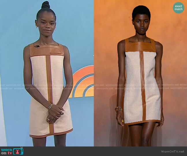 Hermes Ready To Wear Spring Summer 2022 worn by Letitia Wright on Today