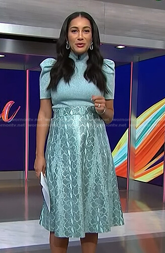 Morgan’s blue puff sleeve sweater and snake print skirt on NBC News Daily