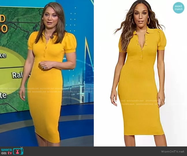 Puff-Sleeve Polo Sweater Dress by New York & Company worn by Ginger Zee on Good Morning America