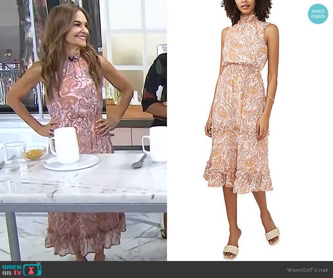 Sam And Jess Sleeveless Paisley Midi Dress worn by Joy Bauer on Today