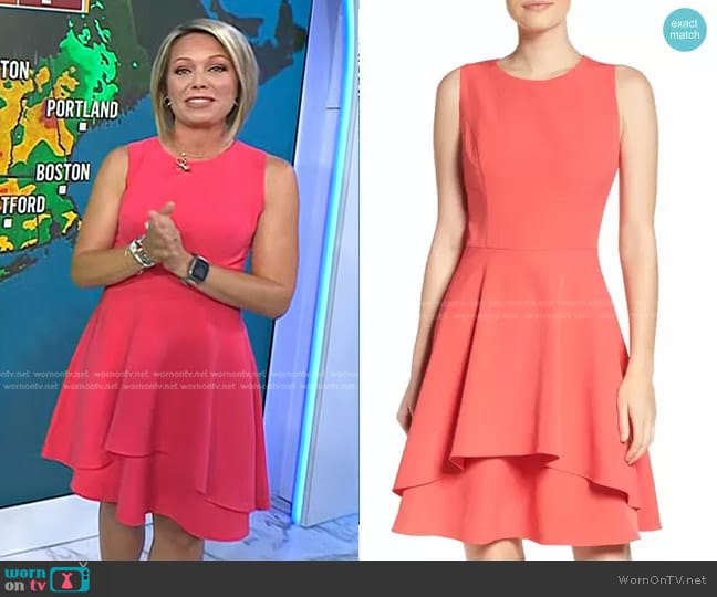 Vince Camuto Ruffle Fit & Flare Dress worn by Dylan Dreyer on Today