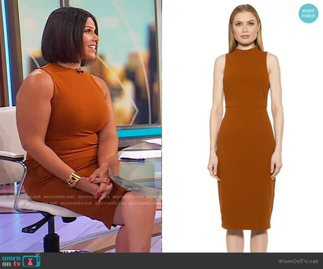 Alexia Admor Nova Dress in Cafe worn by Dana Jacobson on CBS Mornings