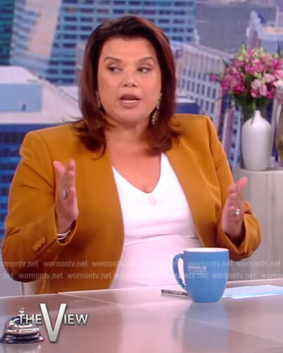 Ana’s brown single breasted blazer on The View