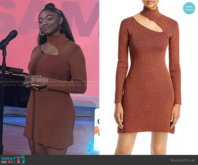 Cult Gaia Jet Cutout Metallic Ribbed Knit Dress worn by Samara Joy on Today