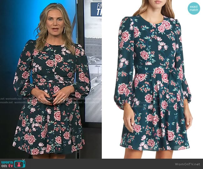 Eliza J Floral Long Sleeve Fit & Flare Dress worn by Emily West on Today