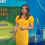 Ginger’s yellow ribbed polo dress on Good Morning America