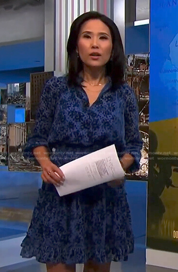 Vicky’s blue floral velvet dress on NBC News Daily