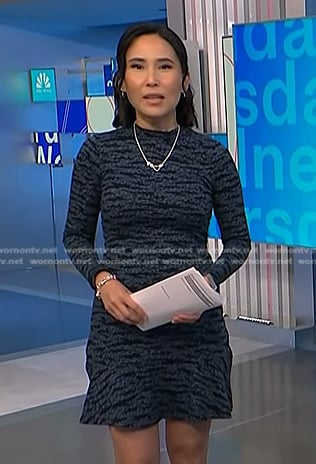 Vicky's blue tiger print dress on NBC News Daily