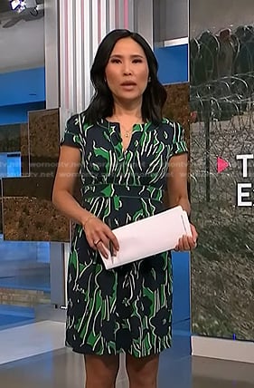 Vicky’s green and navy printed dress on NBC News Daily