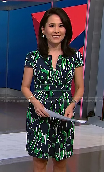 Vicky's green and navy printed dress on NBC News Daily