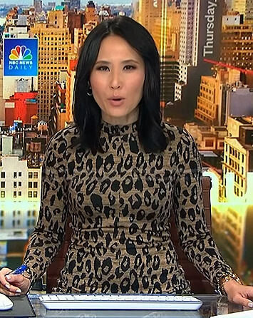 Vicky's leopard print long sleeve dress on NBC News Daily
