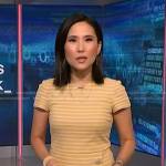 Vicky’s yellow striped dress on NBC News Daily