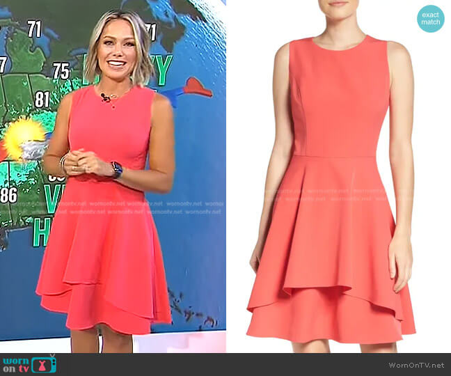 Vince Camuto Ruffle Fit & Flare Dress worn by Dylan Dreyer on Today