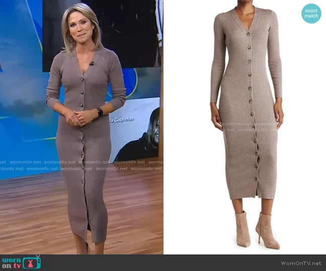 Ronny Kobo Vianne Long Sleeve Dress worn by Amy Robach on Good Morning America