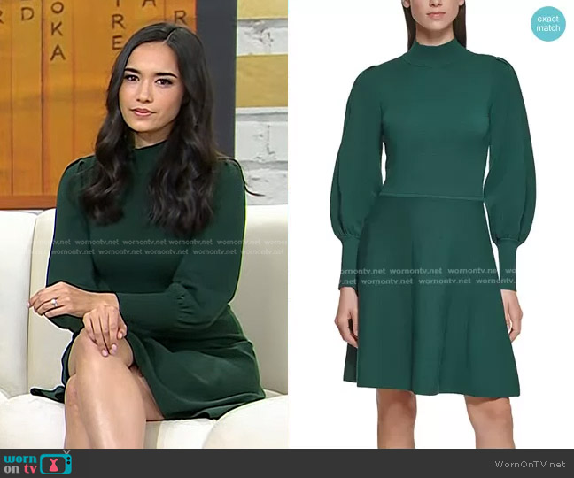 Vince Camuto Mock-Neck Puff Sleeve Dress worn by Emilie Ikeda on Today