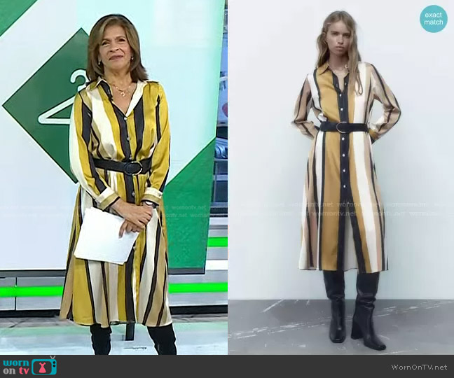 Zara Striped Belted Shirt Dress worn by Hoda Kotb on Today