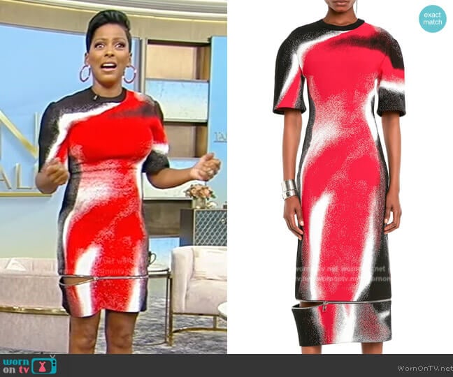 Alexander McQueen Mushroom Spore Zip Hem Midi Dress worn by Tamron Hall on Tamron Hall Show