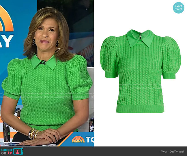 Alice + Olivia Chase Cable-Knit Puff-Sleeve Sweater worn by Hoda Kotb on Today