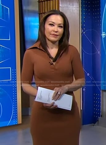 Eva’s brown polo dress on Good Morning America