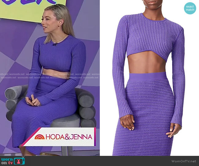 Herve Leger Sheer Striped Cropped Top worn by Iliza Shlesinger on Today