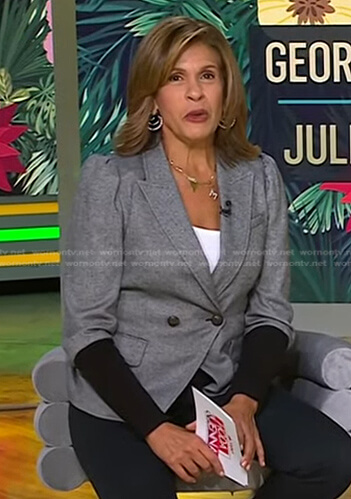 Hoda’s grey colorblock blazer on Today