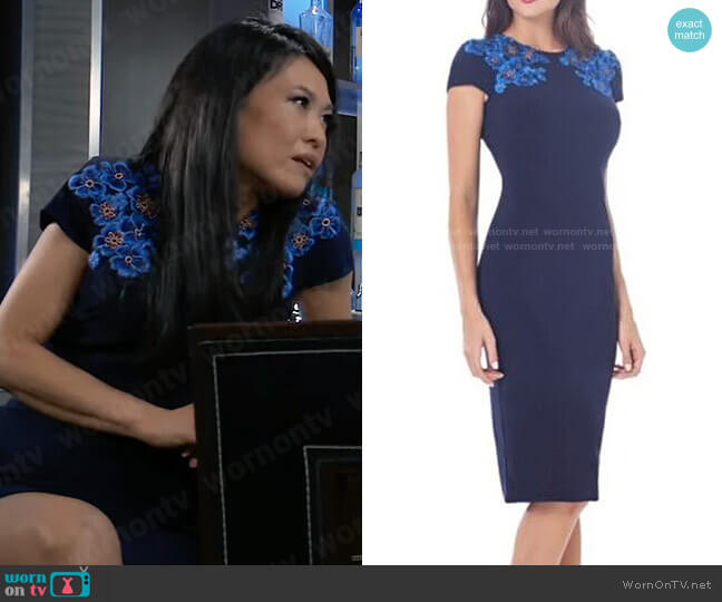 JS Collections Embroidered Jersey Sheath worn by Selina Wu (Lydia Look) on General Hospital