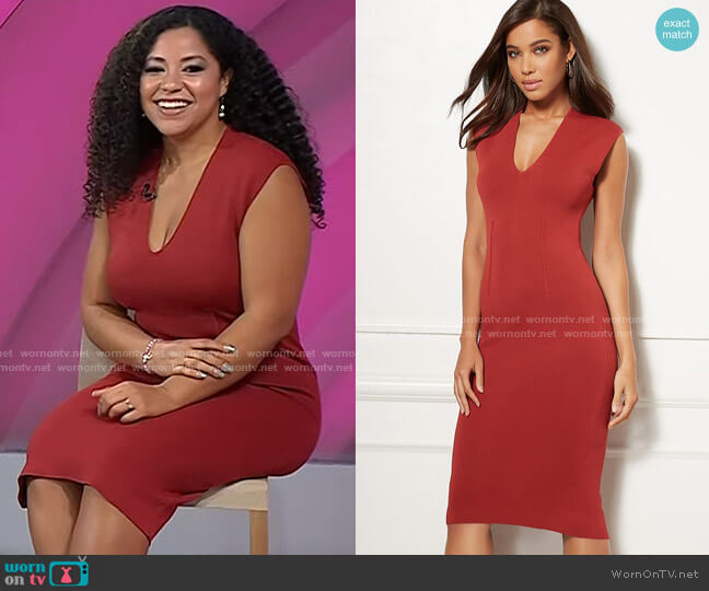 New York & Company Lucienne Shaping Dress In Spiced Curry worn by Arianna G. Davis on Today