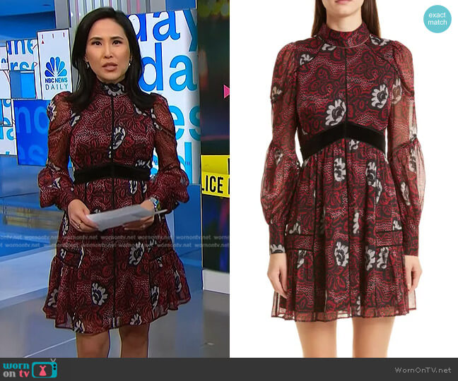 Ted Baker Coriey Floral Long Sleeve Chiffon Dress worn by Vicky Nguyen on NBC News Daily