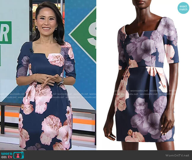 Ted Baker Lawana Elbow Sleeve Tulip Dress worn by Vicky Nguyen on Today