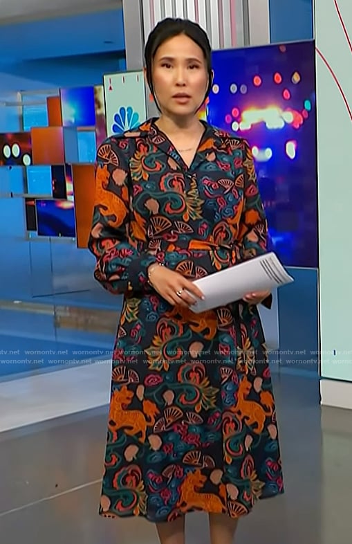 Vicky’s navy tiger print dress on NBC News Daily
