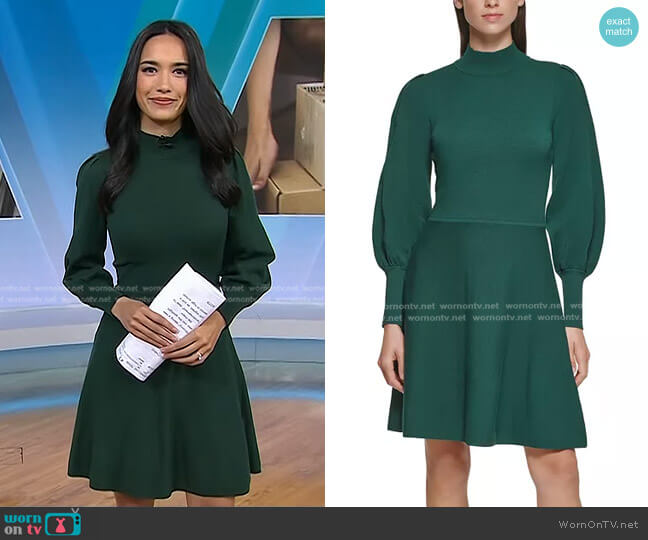 Vince Camuto Mock-Neck Puff Sleeve Dress worn by Emilie Ikeda on Today