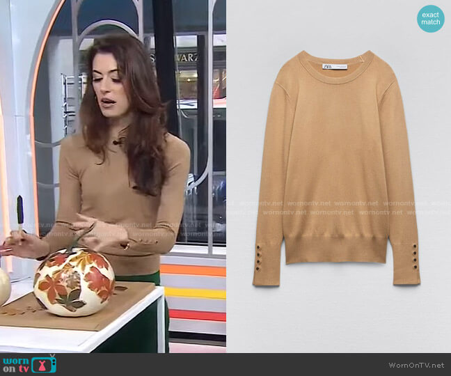 Zara Basic Knit Sweater worn by Lindsey Peers on Today