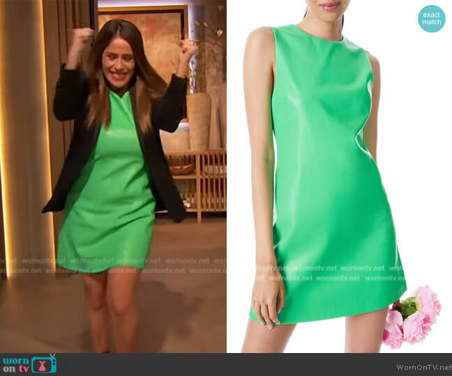 Alice + Olivia Coley Faux Leather Minidress worn by Soleil Moon Frye on The Drew Barrymore Show