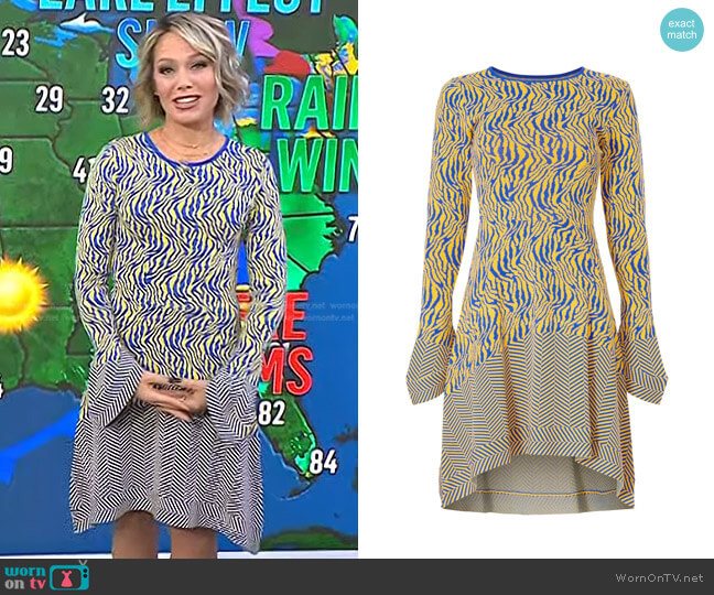 Esteban Cortazar Collective Knit Zebra Print Dress worn by Dylan Dreyer on Today