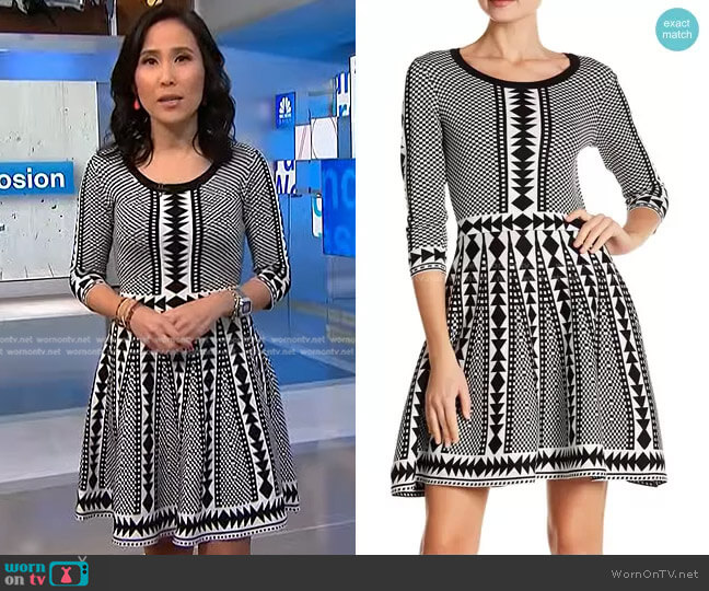 Nina Leonard Geometric Print Sweater Dress worn by Vicky Nguyen on NBC News Daily