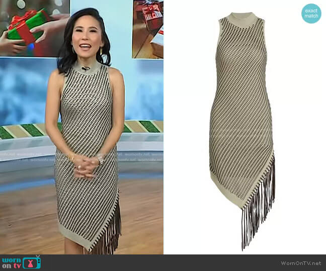 Jonathan Simkhai Chelle Pointelle Asymmetrical Dress worn by Vicky Nguyen on Today