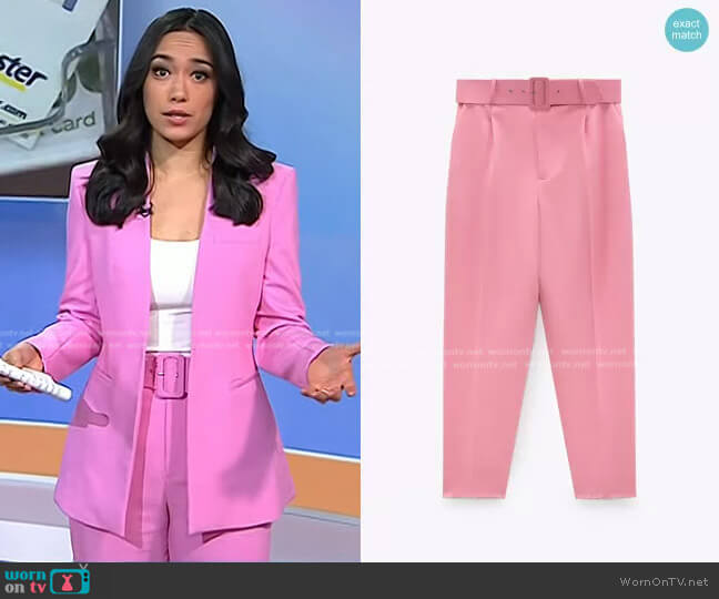 Zara Pants with Fabric-covered Belt in Pink worn by Emilie Ikeda on Today
