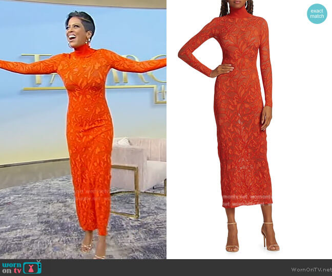 Alaia Stretch lace Collared Bodycon Maxi Dress worn by Tamron Hall on Tamron Hall Show