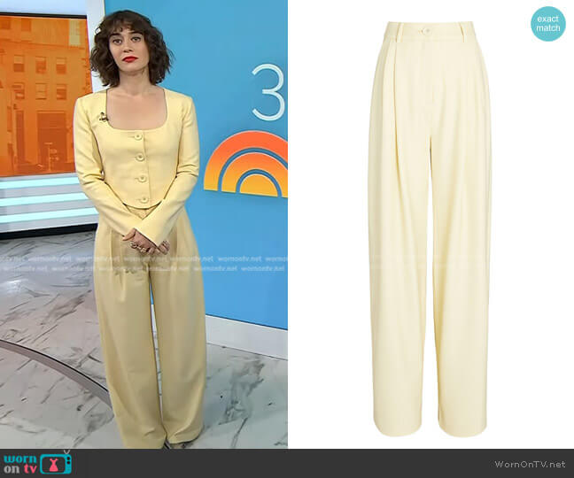 Anna Quan Stevie Pleated Wide-Leg Pants worn by Lizzy Caplan on Today