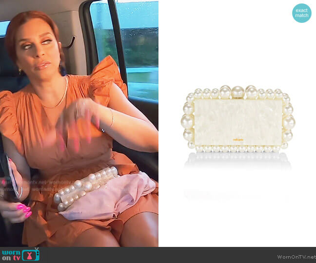 Cult Gaia Eos Beaded Acrylic Box Clutch worn by Robyn Dixon on The Real Housewives of Potomac