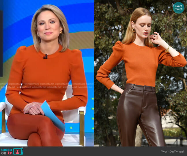 Greylin Felina Puff Sleeve Ribbed Knit Top worn by Amy Robach on Good Morning America