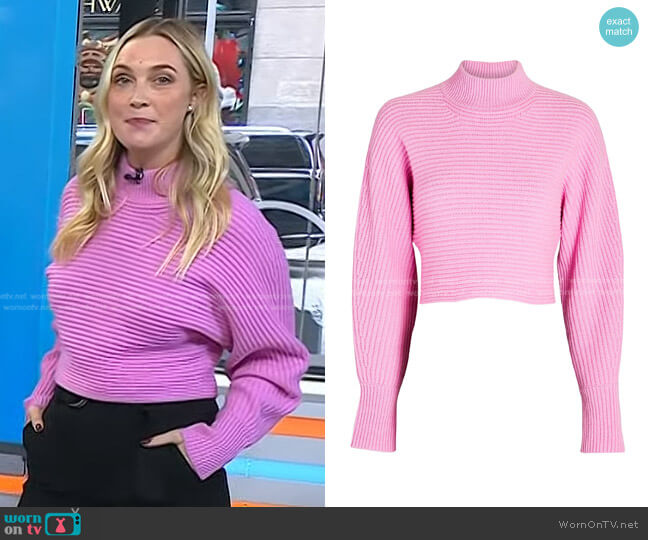 WornOnTV: Jasmine Snow’s pink ribbed sweater on Today | Clothes and ...