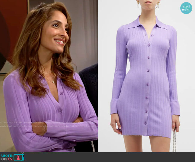 Milly Long Sleeve Polo Sweater Dress worn by Lily Winters (Christel Khalil) on The Young and the Restless