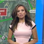 Adelle’s pink colorblock dress on Today