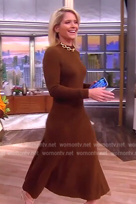 Sara's brown knit midi dress on The View