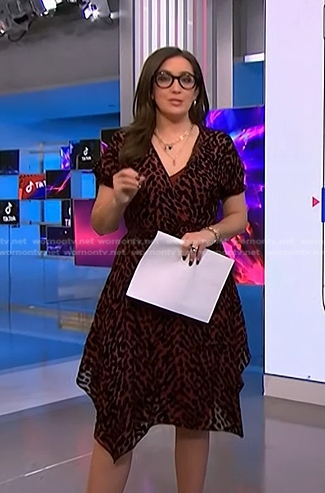 Savannah’s brown animal print dress on NBC News Daily