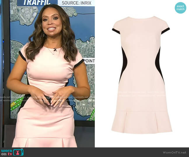 Ted Baker Limoni Dress worn by Adelle Caballero on Today